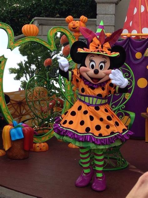 Minnie mouse witch clothes